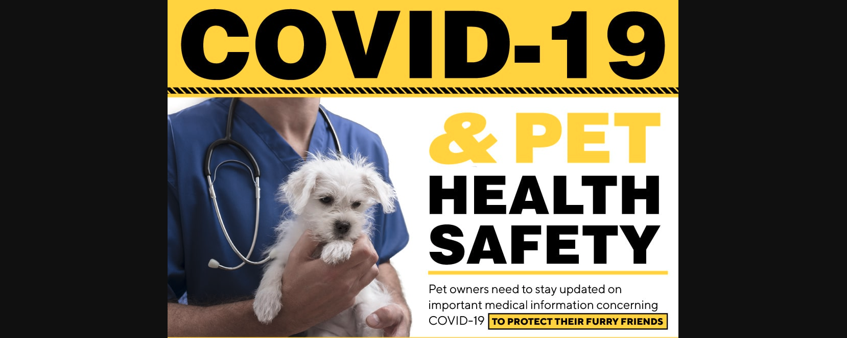 Covid-19-and-pet-health-safety